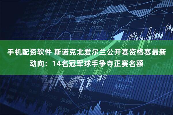 手机配资软件 斯诺克北爱尔兰公开赛资格赛最新动向：14名冠军球手争夺正赛名额